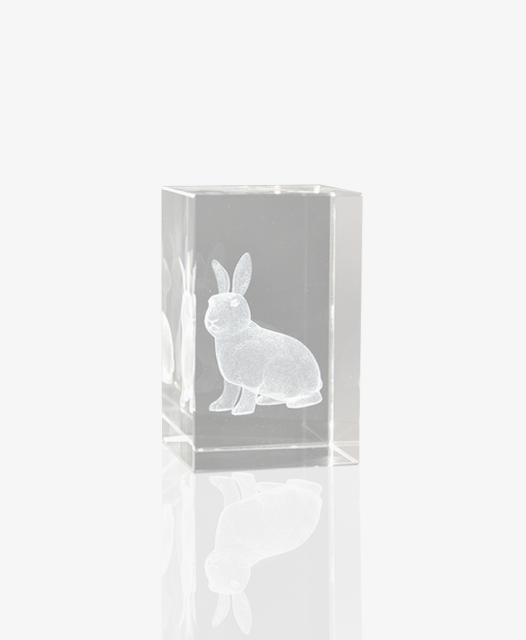 3D Quader Hase