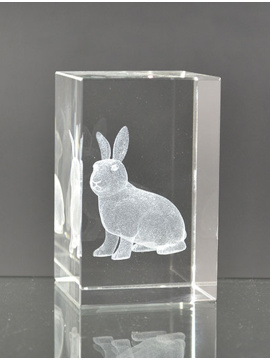 l5501-hase