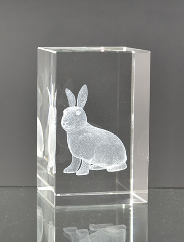 l5501-hase